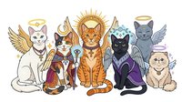 Cute cats and kittens wearing halos and angel wings, isolated on white background, perfect for greeting cards, t-shirt designs, and children's illustrations.
