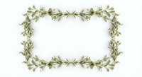 Elegant olive branch frame border with green leaves on white background for wedding invitations, certificates and decorative design projects.