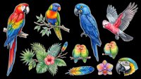 Colorful parrots and macaws isolated on transparent background. Tropical bird clipart featuring red, blue, and green macaws, feathers, and foliage. Ready for t-shirt design, stickers, and print-on-demand products.
