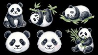 Cute watercolor panda bear set isolated on transparent background, ready for stickers, nursery prints, t-shirt design, clipart, and print on demand projects.