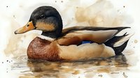 Male mallard duck swimming in water with detailed feather texture and natural coloring shown in watercolor artistic style against soft brown background.