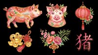 Pig illustration with floral decorations, gold coins, and Chinese lantern isolated on transparent background. Ready for t-shirt design, clipart, stickers, print-on-demand products, and sublimation projects.