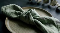 Sage green linen napkin artfully arranged on rustic ceramic plate with dark textured surface, suitable for dining, hospitality, and tableware design projects.