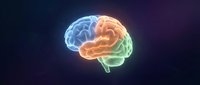 Glowing human brain with blue, orange, and green neon colors on dark background, representing intelligence, neuroscience, and cognitive function for medical and educational use.