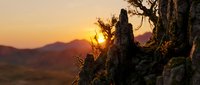 Dramatic sunset landscape with weathered tree trunk and mountain silhouettes in warm golden light creating peaceful wilderness scenery for nature photography.