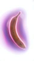 Banana with glowing neon pink outline against soft purple gradient background. Isolated fruit illustration for modern design, pop art, nightlife themes, and contemporary graphics.