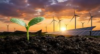 Green plant seedling growing from soil with wind turbines and solar panels at sunset showcasing renewable energy and sustainable development concepts.