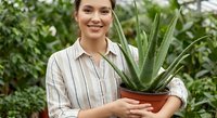 Young Caucasian woman gardener holding aloe vera plant in greenhouse, smiling female botanist with succulent for natural skincare and wellness products.