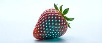 Strawberry with gradient color transition from red to cyan blue, isolated on white background, suitable for design projects and digital compositions.