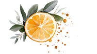Fresh orange slice with green leaves and watercolor splashes on white background, botanical art style composition for kitchen decor and menu design.