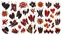 Hot chili peppers in various red and dark varieties isolated on white background, ready for culinary, food packaging, and design projects.