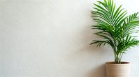Fresh green palm plant in beige ceramic pot against textured white wall with copy space, minimalist home decor composition for modern interior styling.