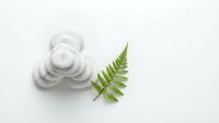 Spa skincare cream with green fern leaf on white background, isolated cosmetic product for wellness and beauty design use.