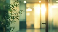 Indoor bamboo plant beside glass office door with warm sunlight creating peaceful workspace atmosphere.
