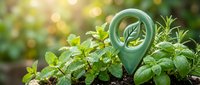 Green location pin with leaf symbol in herb garden with fresh basil and mint plants. Eco-friendly gardening and sustainable agriculture concept for organic farming.