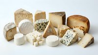 Assorted artisanal cheese varieties including aged cheddar, soft brie, blue cheese, and fresh mozzarella arranged on white background for culinary and food styling projects.