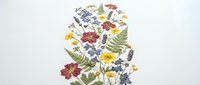 Pressed dried flowers and leaves arrangement on white background, botanical herbarium collection for crafts, scrapbooking and natural decoration projects.