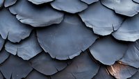 Overlapping slate gray roof tiles create dramatic pattern and texture with natural light and shadow play. Architectural detail shows weathered surface patina.