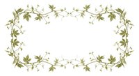 Elegant botanical frame with delicate green leaves and small white flowers creating decorative border on transparent background for wedding invitations.