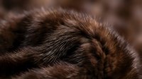 Luxurious brown mink fur texture with rich chocolate tones and natural shine, showcasing soft dense pelage for fashion and textile design applications.