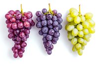 Fresh bunches of red, purple and green grapes arranged in row on white background, isolated ripe fruit for healthy eating and wine making concept.