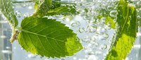 Fresh mint leaves submerged in sparkling water with bubbles, close-up macro shot for healthy drink, detox, and wellness concepts.