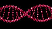 Shiny red crystal beads arranged in double helix DNA structure against black background, isolated design element for science and genetic concepts.