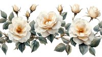 Delicate cream roses with buds and green leaves arranged in horizontal composition on white background, seamless floral border pattern for decorative design.