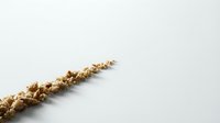 Twisted golden rope isolated on white background, suitable for design projects, web graphics, and decorative applications.