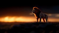 Majestic male lion silhouette standing on hill against dramatic orange sunset sky and dark clouds, powerful wild animal in African savanna landscape at dusk.