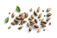 Scattered brown cardamom pods and fresh green leaves on white background, overhead view of aromatic spice ingredients for cooking and flavoring food.