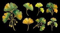 Ginkgo biloba leaves isolated on transparent background, ready for t-shirt design, clipart, stickers, sublimation and print-on-demand products. Botanical elements featuring yellow and green autumn foliage.
