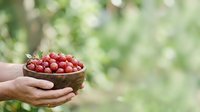 Person holding wooden bowl filled with fresh red currants against blurred green garden background, suitable for food, agriculture, and harvest themes.