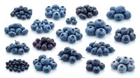 Fresh blueberries in small piles isolated on white background. Organic superfood berries for healthy eating, smoothies, baking and cooking recipes.