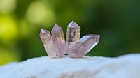 Pink quartz crystal points arranged in fan formation on white surface against blurred green natural background, showcasing mineral specimen collection.
