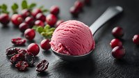 Scoop of pink cranberry ice cream on metal spoon with fresh and dried cranberries scattered on dark slate background, selective focus on frozen dessert.