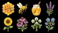 Honeycomb with bee, honey jar, lavender flowers, sunflower, echinacea, Queen Anne's lace, and blue flowers isolated on transparent background. Ready for t-shirt designs, stickers, clipart, sublimation, and print-on-demand products.