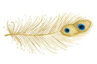 Elegant golden peacock feather with vibrant blue eyes isolated on white background for luxury design projects and decorative elements.