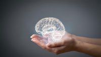 Transparent glowing brain floating above open human hands against dark background for medical neuroscience psychology mental health concepts.