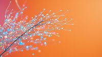 Delicate white dots and branches against vibrant coral and blue gradient background create dreamy botanical minimalist composition for wall art and greeting cards.