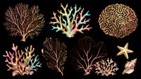 Colorful coral reef elements set isolated on transparent background, ready for ocean-themed T-shirts, stickers, clipart, sublimation, and print on demand design use.