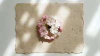 Pink and white cherry blossom wreath on rustic handmade paper with soft natural shadows, spring floral flat lay composition.