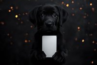 Black Labrador puppy holding blank white card against dark background with golden bokeh lights, creating magical holiday atmosphere for pet photography.