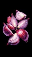 Watercolor red onion halves and slices isolated on transparent background, ready for kitchen clipart, food stickers, sublimation, and print on demand designs.