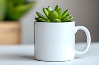 Small green succulent plant growing in white ceramic coffee mug on light surface, minimalist home decor and indoor gardening concept.