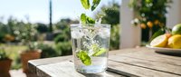 Refreshing glass of sparkling water with fresh mint leaves on wooden table outdoors. Summer drink concept for healthy lifestyle and hydration.