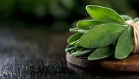 Fresh sage leaves tied with twine on dark wooden cutting board against black background, macro food photography with selective focus and copy space.