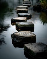 Stone stepping path across calm water, creating a serene pathway through tranquil pond with reflective surface.