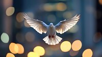 White dove with spread wings flying against blurred city lights background creating magical bokeh effect and peaceful urban atmosphere.