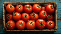 Fresh ripe red tomatoes with green stems arranged in rustic wooden box against weathered turquoise background, top view food photography.